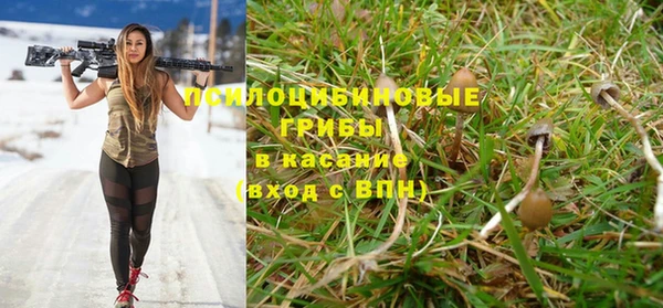 spice Алзамай