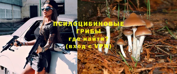 spice Алзамай