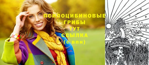 спайс Нея