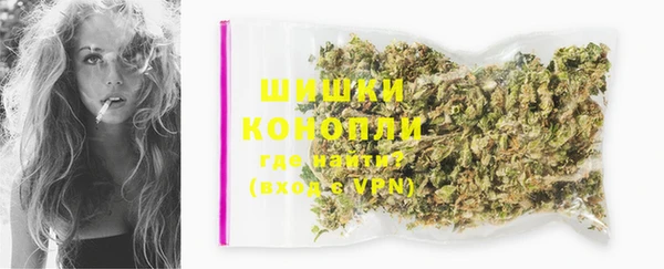 spice Алзамай