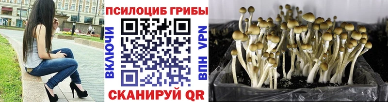 Псилоцибиновые грибы мухоморы  Первоуральск 